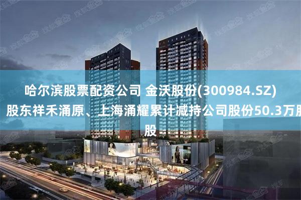 哈尔滨股票配资公司 金沃股份(300984.SZ)：股东祥禾涌原、上海涌耀累计减持公司股份50.3万股
