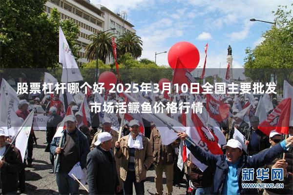 股票杠杆哪个好 2025年3月10日全国主要批发市场活鳜鱼价格行情