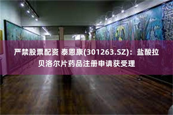 严禁股票配资 泰恩康(301263.SZ)：盐酸拉贝洛尔片药品注册申请获受理