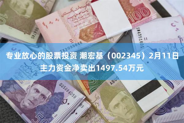 专业放心的股票投资 潮宏基（002345）2月11日主力资金净卖出1497.54万元