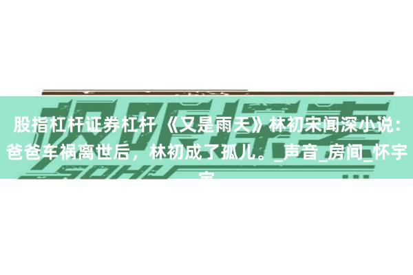 股指杠杆证券杠杆 《又是雨天》林初宋闻深小说：爸爸车祸离世后，林初成了孤儿。_声音_房间_怀宇