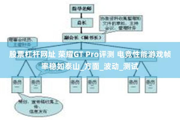 股票杠杆网址 荣耀GT Pro评测 电竞性能游戏帧率稳如泰山_方面_波动_测试
