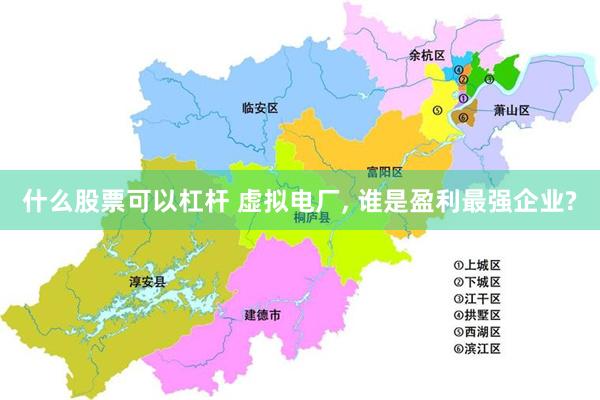 什么股票可以杠杆 虚拟电厂, 谁是盈利最强企业?