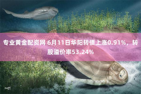专业黄金配资网 6月11日华阳转债上涨0.91%，转股溢价率53.24%