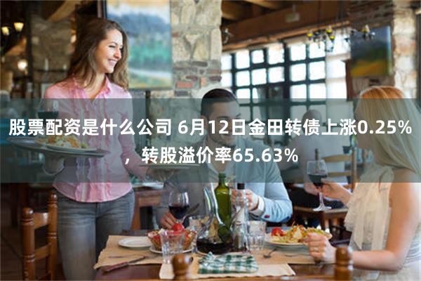 股票配资是什么公司 6月12日金田转债上涨0.25%，转股溢价率65.63%