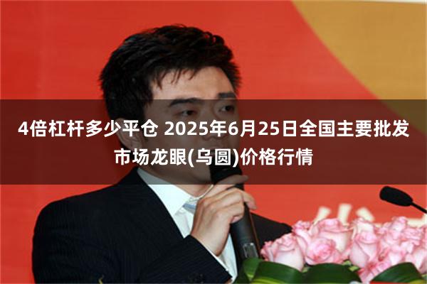 4倍杠杆多少平仓 2025年6月25日全国主要批发市场龙眼(乌圆)价格行情
