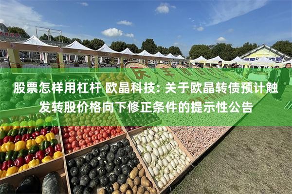 股票怎样用杠杆 欧晶科技: 关于欧晶转债预计触发转股价格向下修正条件的提示性公告